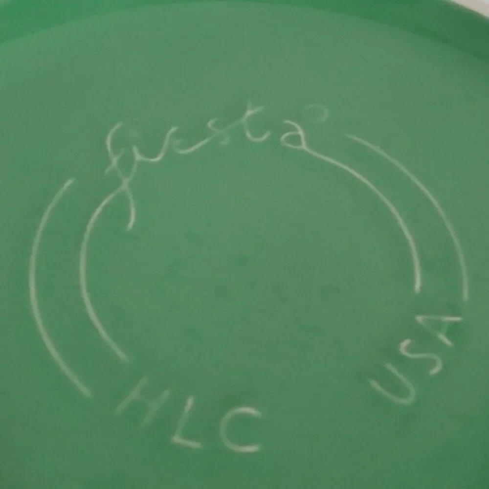 Fiestaware Fiesta Pie Plate Deep Dish Baker Baking Bake Bakeware Meadow CERAMIC